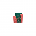 Aveda NutriPlenish Deep Moisture - Night moisturizing hair serum