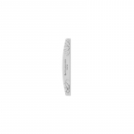 Staleks Expert 40 100/180 - mineralinė nagų dildė, 1 vnt.