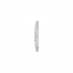 Staleks Expert 40 180/240 - mineralinė nagų dildė, 1 vnt.