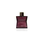 Rasasi Daarej Magnetic Pour Femme EDP 100ml kvepalai moterims