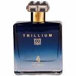 Paris Corner Trillium EDP kvepalai vyrams, 100 ml