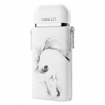 Armaf Caballo Pour Homme EDP kvepalai vyrams, 100 ml