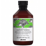 Davines Natural Tech Renewing Shampoo - &scaron;velnus &scaron;ampūnas, 250 ml