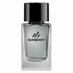 Burberry Mr. Burberry EDT kvepalai vyrams, 100 ml