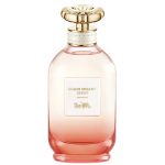 Coach Dreams Sunset EDP Tester kvepalai moterims, 90 ml