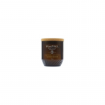 WoodWick ReNew Ginger & Turmeric Candle (ginger and turmeric) 368 g