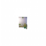 Hermes Hermes Un Jardin Sur Le Nil Gift Set - rinkinys - EDT 100 ml ir mini EDT 15 ml