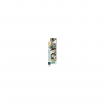 Vivian Gray Wild Flowers Eau de Parfum 10 ml