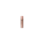 REF Hold & Shine Spray N 545 300 ml