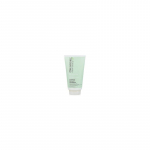 Paul Mitchell Clean Beauty Anti-Frizz Leave-In Treatment - nenuplaunamas kondicionierius slenkantiems plaukams, 150 ml
