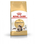 Royal Canin Maine Coon sausas maistas katėms, 2 kg