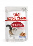 Royal Canin Instinctive Jelly konservai katėms, 12&times;85 g