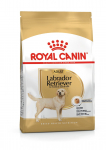 Royal Canin Labrador Retrievier Adult sausas maistas &scaron;unims, 12kg
