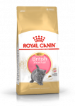 Royal Canin British Shorthair Kitten sausas maistas katėms, 2 kg