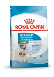 Royal Canin Mini Starter Mother & Babydog sausas maistas &scaron;unims, 1kg