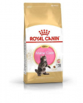 Royal Canin Maine Coon Kitten sausas maistas katėms, 0,4 kg