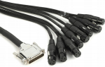 Warm Audio - Audio kabelis PREMIER DB25 - XLRf 6.1m | 92099400 | 850031640290