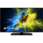 Televizorius GoGEN TVF 40M340 STWEB LED 40'' Full HD | 5113 | 8590393304806