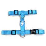 Dashi Solid Back Harness Sky Blue - reguliuojamas apsauginis diržas &scaron;unims, &scaron;viesiai mėlynas