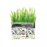 Katės žolė Record Erba Gatta - rugių sėklos augimo pakuotėje, nuo plaukų kamuoliukų