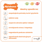 Nylabone Extreme Bacon & Peanut Butter Porkhide - &scaron;unų kramtomasis žaislas, pagardintas &scaron;onine ir žemės rie&scaron;utų sviestu
