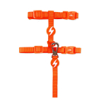 Dashi Neon kačių petne&scaron;os + pavadėlis - nailoninių petne&scaron;ų ir pavadėlio rinkinys katėms, neoninis