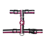 Dashi Stripes Violetinė ir Juoda Nugaros Petne&scaron;os - reguliuojamos apsauginės petne&scaron;os &scaron;unims, violetinės ir juodos juostelės