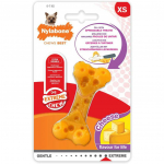 Nylabone Cheese Extreme Texture Cheese - &scaron;unų kramtomasis žaislas, sūrio skonio, skirtas skanėstams tepti