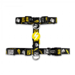 Dashi La Casa De Papel Golden Back Harness - reguliuojamas &scaron;unų pakinktų apsauginis diržas, įkvėptas serialo &bdquo;Money Heist&ldquo;