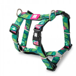 Max&Molly H - Tropical Harness - spalvingi reguliuojami diržai &scaron;unims ir &scaron;uniukams
