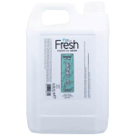 Groom Professional Fresh Ear Cleaner - ausų valymo tirpalas, pagamintas i&scaron; eterinių aliejų ir citrusinių vaisių ekstraktų