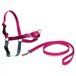 PetSafe Easy Walk Harness Raspberry - &scaron;unų pakinktų ir pavadėlio rinkinys