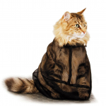 Show Tech Cat Bag - katės maudymo tinklinis mai&scaron;elis, mai&scaron;elis