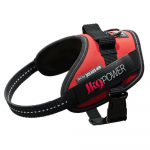 Julius - K9 IDC &scaron;unų pakinktai - auk&scaron;čiausios kokybės pakinktai &scaron;unims - Dydis: Mini - Mini