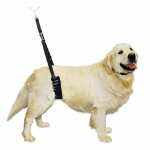 Show Tech Comfort Bellyband Big - patogus galinis atraminis diržas