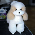 Mr. Jiang Teddy viso kūno kailis - keičiamas kailis Teddy kirpimo manekenui, smėlio spalvos