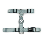 Dashi Solid Back Harness Grey - reguliuojami &scaron;unų apsauginiai pakinktai