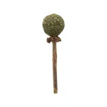 Žaislai katėms | Trixie Matatabi Lolly su katžolės kamuoliuku, 11 cm