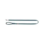 Antkaklis gyvūnams | Trixie Premium antkaklis, S, 25&ndash;40 cm / 15 mm, žalsvas (petrol)