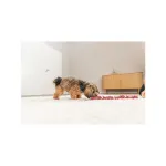 Žaislas &scaron;unims | Trixie žaislas de&scaron;relių vėrinys ant virvės, vinilas, 75 cm