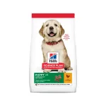 Sausas maistas &scaron;uniukams | Hill's Science Plan Puppy Large Breed Chicken, 16 kg
