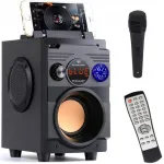 Ne&scaron;iojamoji &bdquo;Bluetooth&ldquo; kolonėlė Feegar ShowJet su karaoke mikrofonu, 3,5 mm AUX