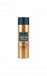VERGULDE HAND skutimosi putos, 250 ml