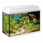 Juwel Primo 70 LED White 70L - sudėliotas akvariumas