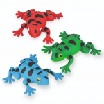 Zoologija - &Scaron;vytinti rupūžė (&scaron;vyti tamsoje)