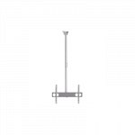 Sunne | Ceiling mount | PL-C62 | Tilt | 37-70 " | Maximum weight (capacity) 50 kg | Silver