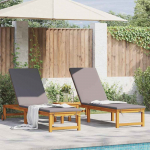 Saulės gultas 2 pcs Ruda 202 x 53 x 89 cm