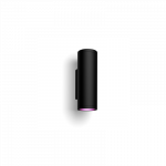 Philips Hue WCA Appear Outdoor Wall Lantern, Black | 8 W | 2000-6500 Hue White Colour Ambiance