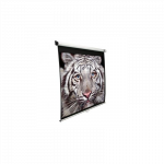 Elite Screens | M139NWX | Diagonal 353 " | 16:10 | Viewable screen width (W) 2.98 cm | White