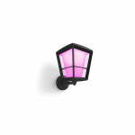 Philips Hue WCA Econic Outdoor Wall Lantern Up | 15 W | 2000-6500 Hue White Colour Ambiance